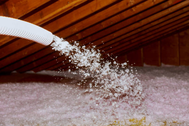 Best Insulation Repair Services  in Hackensack, NJ